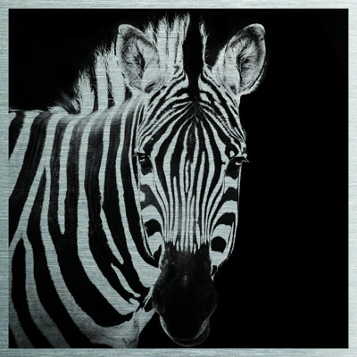 Zebra - No Frame Print on Metal