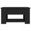 Husnija Lift Top Coffee Table with Storage-1541227812-1541227815