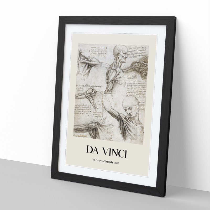 Human Anatomy Vol.3 by Leonardo Da Vinci - Picture Frame Drawing, Black Framed, 36cm H x 27cm W x 2cm D