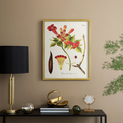 «Tropical Trumpet Flowers I», reproduction encadrée - bois massif