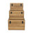 Sable Set of 3 Trunks with Gold Handles-2046904636