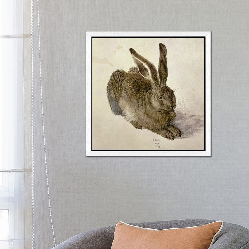 Hare, 1502 by Albrecht DÃ¼rer - Painting on Canvas, 66.04 cm H x 66.04 cm W, White Framed