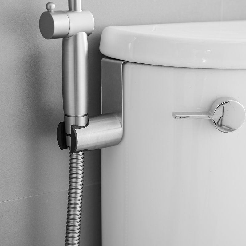 Hand Held Bidet, Brushed Nickel