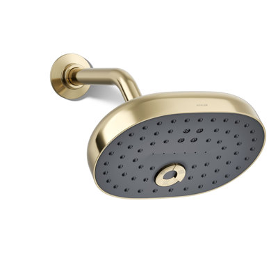 Statement 2.5 GPM Oval Multifunction Showerhead