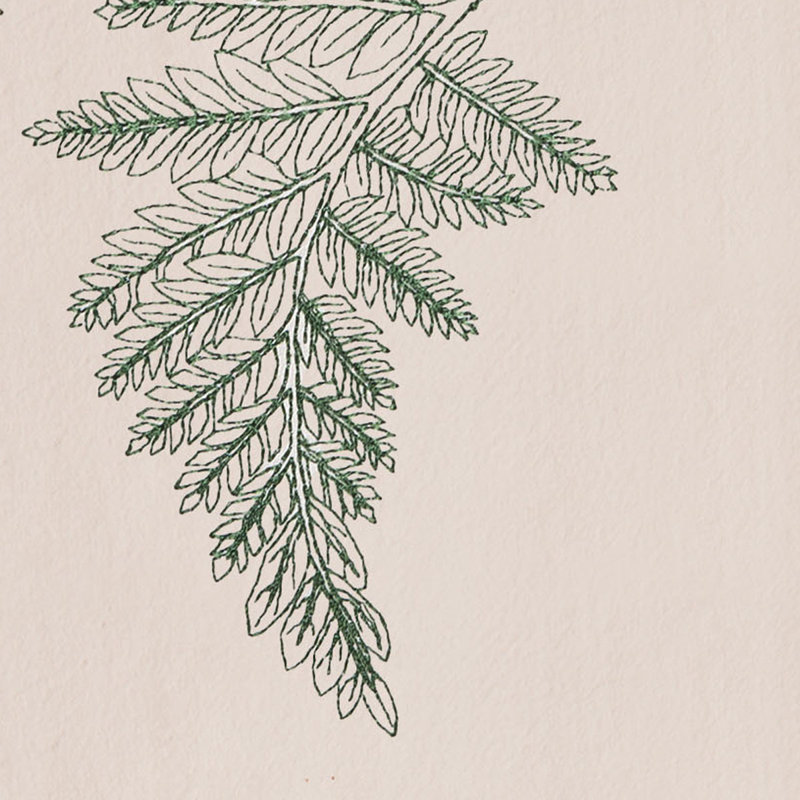 Essuie-mains Botanical Forest