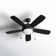 Stoller 44'' Ceiling Fan with LED Lights