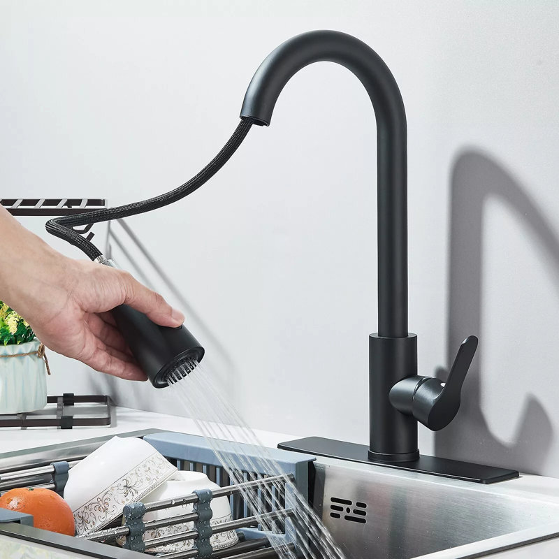 Robinet d'évier de cuisine avec poignée et douchette extractible, Noir mat