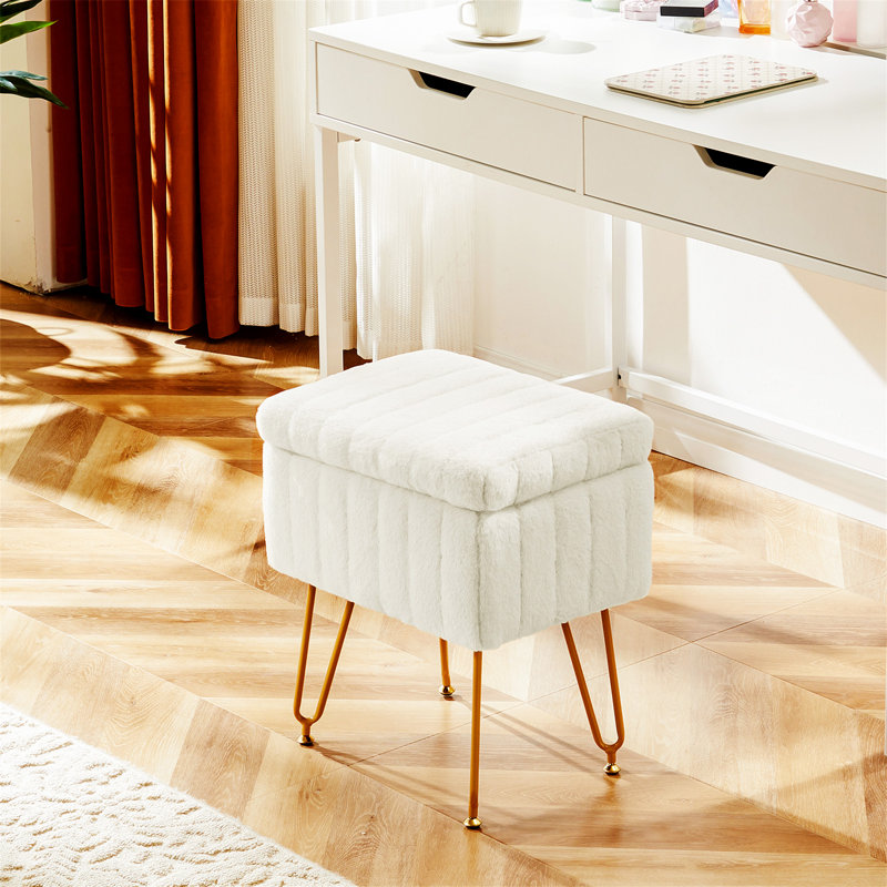 Vanity Stool Chair With Storage