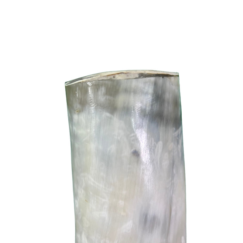 Watusi Cow Horn on Metal Stand