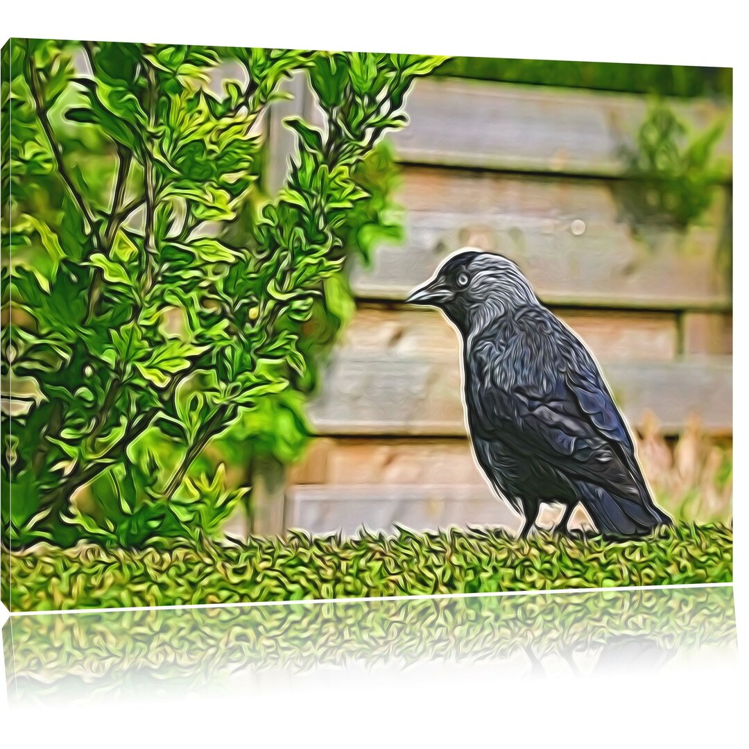 Leinwandbild Vogel auf Gartenwiese