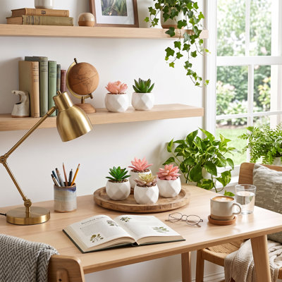 6 plantes succulentes artificielles vertes et roses