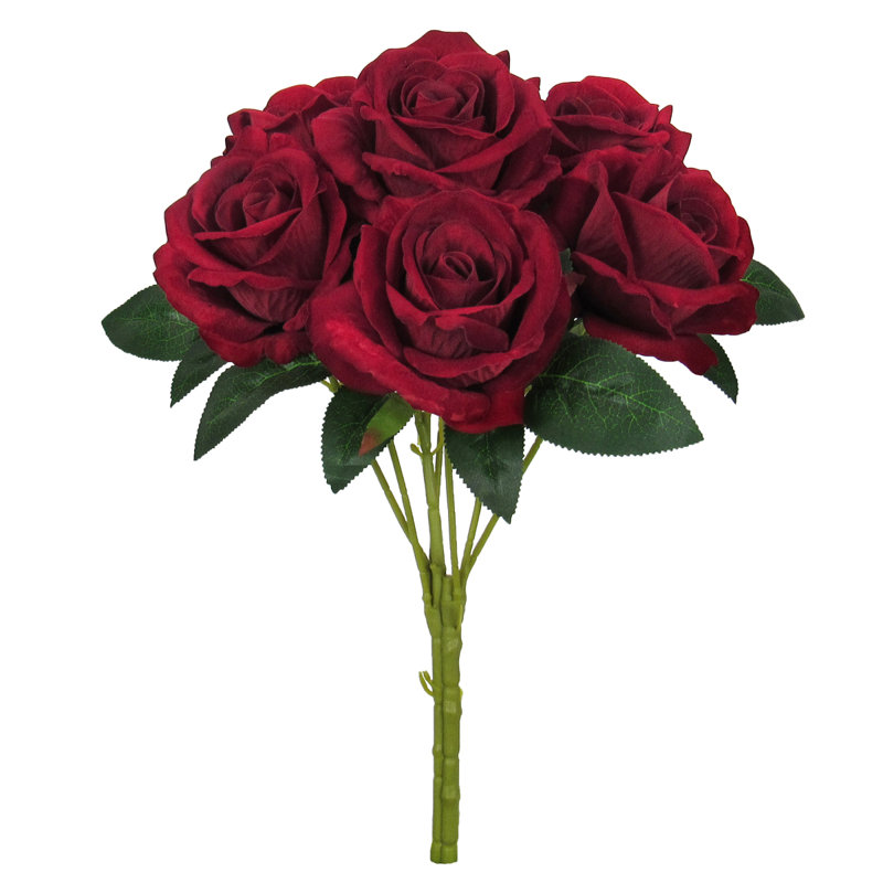 Velvet Rose Bush, Red