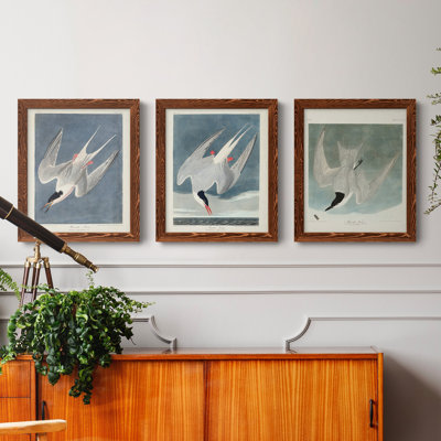 Pl 240 Roseat Tern - Ensemble de 3 peintures sur toile encadrées