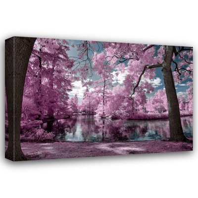 Latitude Run® Gee, Tonee Gallery Wrapped Canvas Art Titled: Bordeaux s Park, Infrared Photography