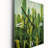 Green Cactus Contour Collage - Cactus Wall Clock Oversized-1953873543