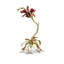 Marietta Orchid Objet