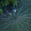 Silver Low Voltage Solar Powered Integrated LED Pathway Light Pack
