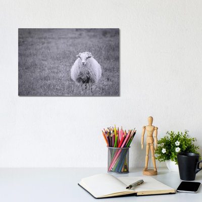 Sheep by MScottPhotography - Wrapped Canvas Print