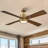 Camran 52'' Ceiling Fan with LED Lights