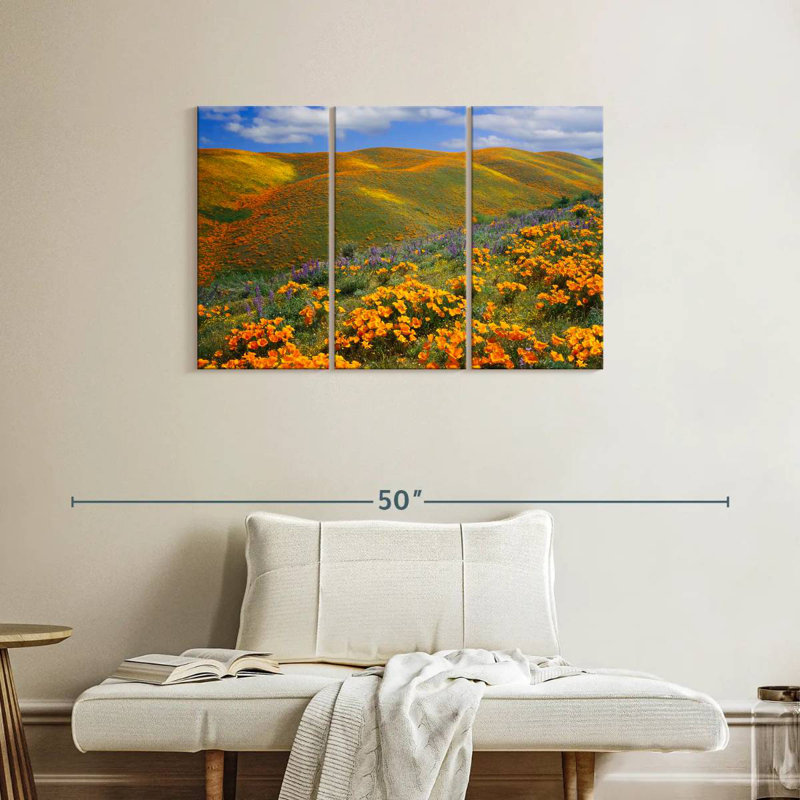 Alvord Antelope Valley Poppy Reserve, 24" H x 38" W