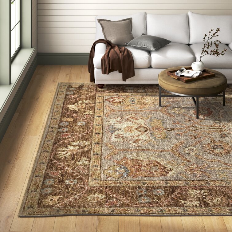 8 Best Cleveland Browns Room Decor Ideas - Peto Rugs