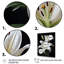 «Black White Lily Exquis II» - lys, impressions sur toile