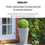 Fibreglass Plant Box-1000350187-1000350197