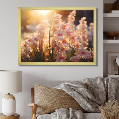 " White Orchids Field With Sunset "