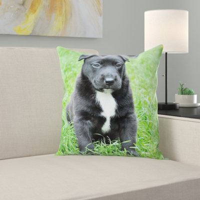 Coussin pour chien