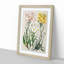 Groundsel Daisy Flowers by Sarah Featon - Picture Frame Painting Print-55609132-55609135