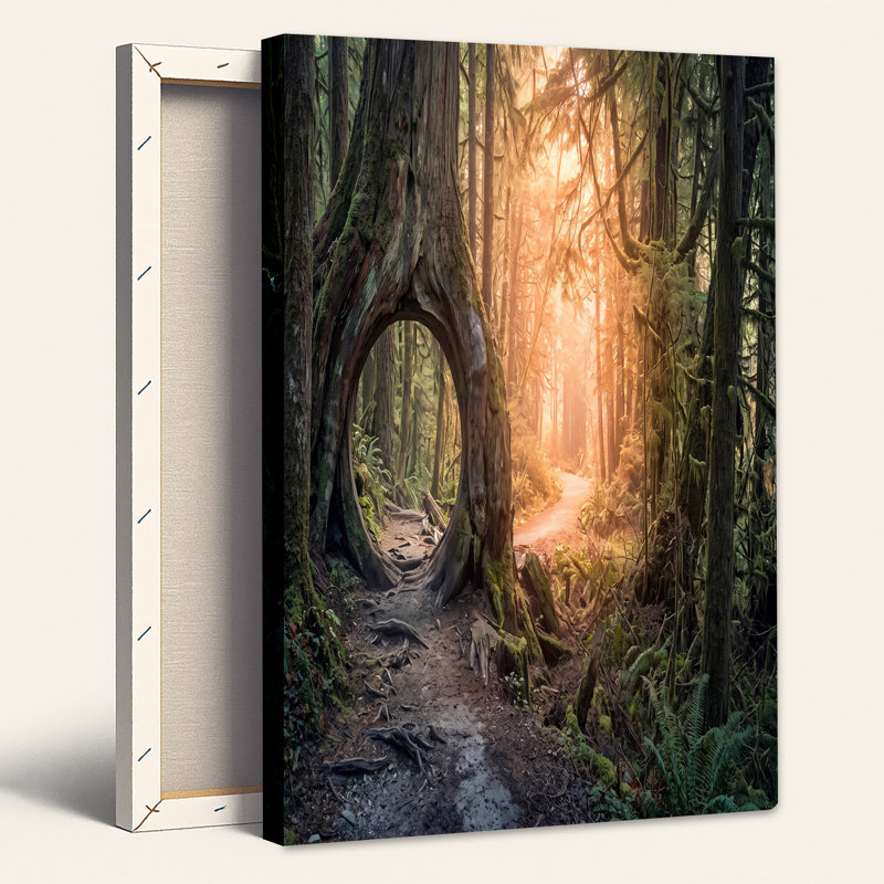 «Hollow Tree Trunk Archway in Golden Forest Path», art mural sur toile, 24"H x 36"W