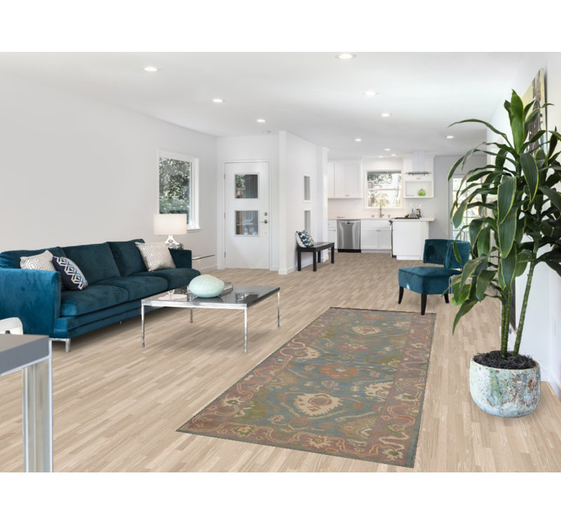 Hand Knotted Cotton Indoor Rug