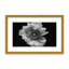 Nature Inspired Poppy in Mono by  - Picture Frame Photograph on Paper-81388143-131291962-131291963