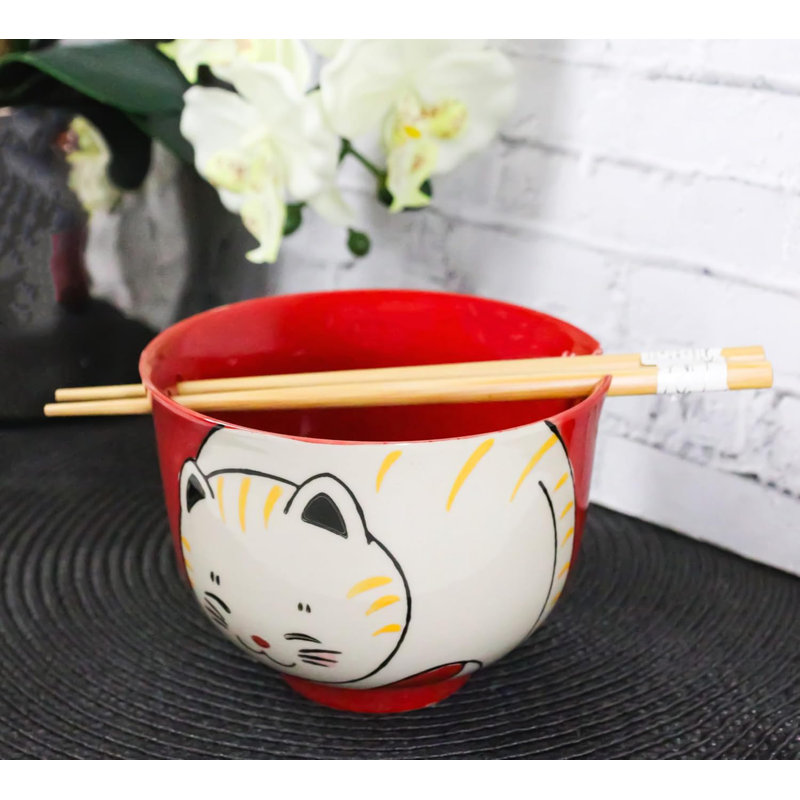 Adorable ensemble de bol avec des baguettes Donburi