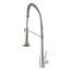 Apollo Pull Down Single Handle Kitchen Faucet with Side Spray and Accessories-1144738526