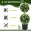 70cm Plant