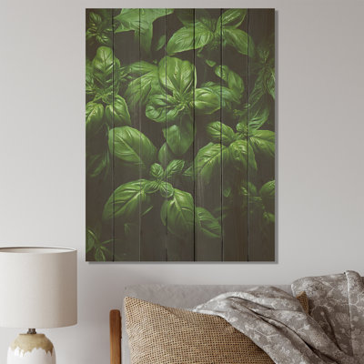 Herbs Basil Vibrance IV - Floral Herbs On Wood Print