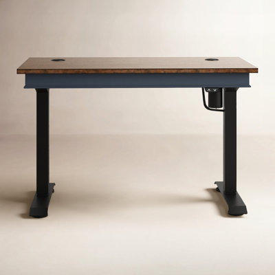 Vivienne 48 " Adjustable Height Standing Desk