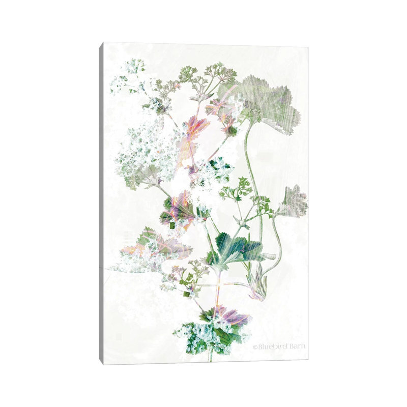 Boho Geranium Botanical by Bluebird Barn - Wrapped Canvas Painting, 20.32 cm H x 30.48 cm W