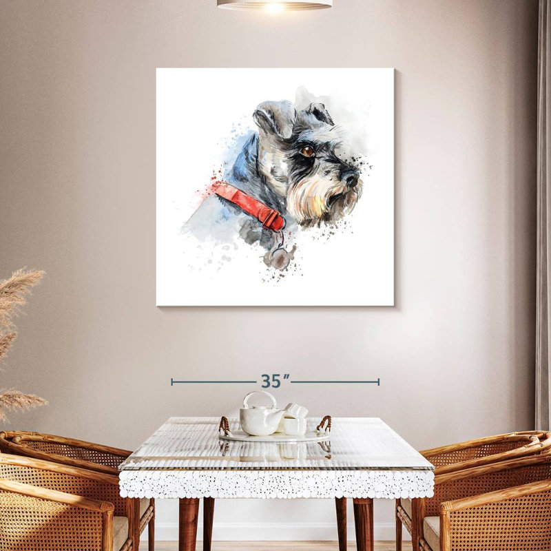 Crowle Schnauzer Splash