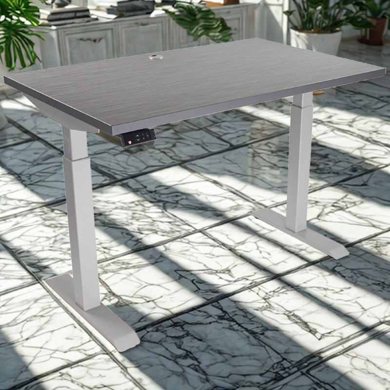 Skyscraper Electric Height Adjustable Standing Desk, Dual Motor and Digital Control with Memory, 48x24, Charcoal Strand Top with Brushed Silver Frame