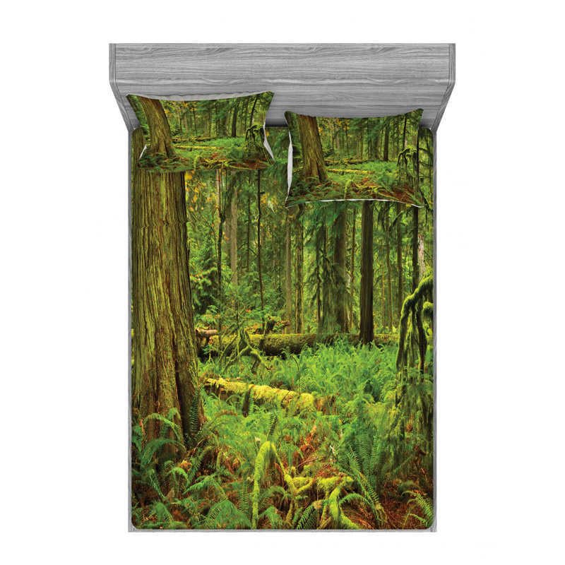 Microfiber Sheet Set, Queen Sheet Set with Fitted Sheet