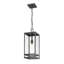 Lanterne suspendue d'extérieur 1 lumière noire Sylmar-551692792