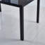 Table de salle à manger avec pieds en métal et verre, table de cuisine moderne pour le salon, table en verre noir, table de salle à manger, table de cuisine, table basse-1943758411