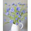 Blue Silk Cornflower 36"