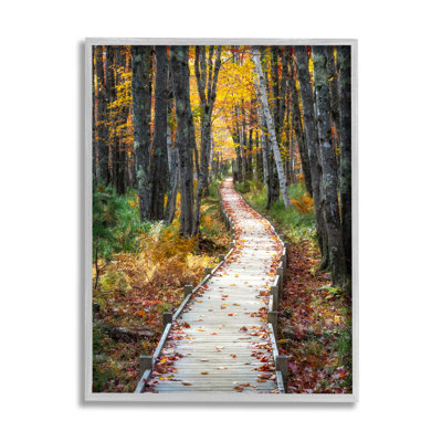 " Nature Path Autumn Foliage " by Danny Head