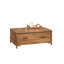Table basse avec rangement Liv