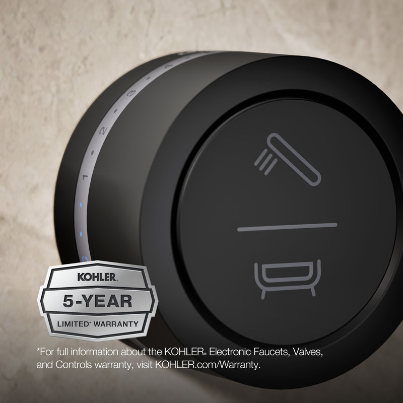 DTV Mode Wall-Mount Bath/Shower Digital Interface, Matte Black