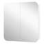 W H Medicine Cabinet Mirror
