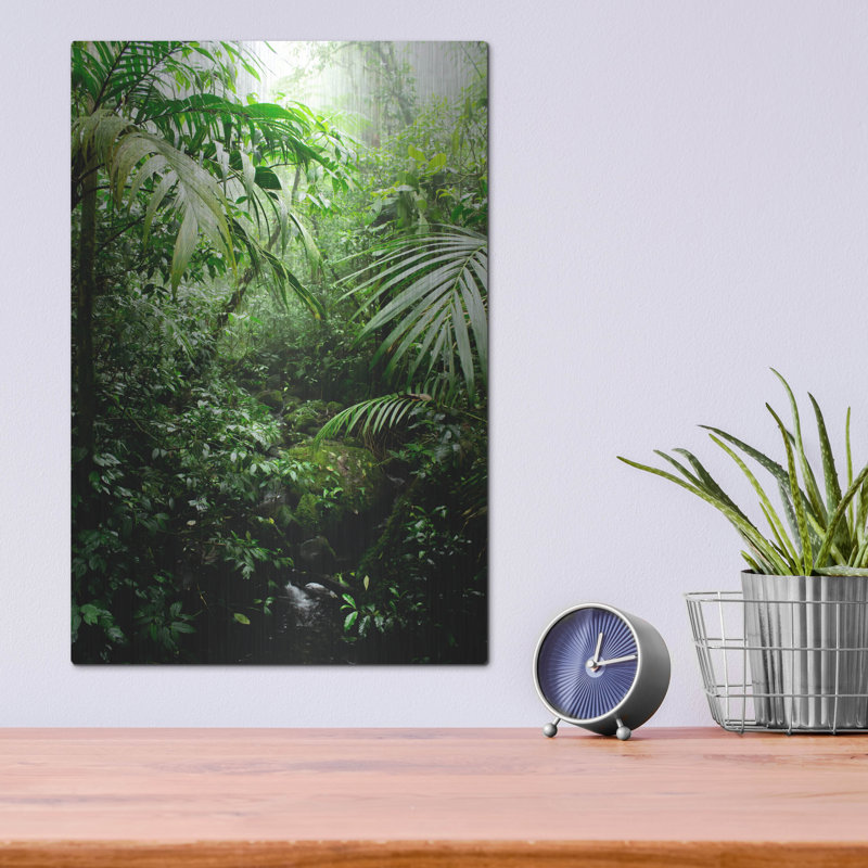 «Misty Rainforest Creek» par Nicklas Gustafsson, H 16 po x l 12 po